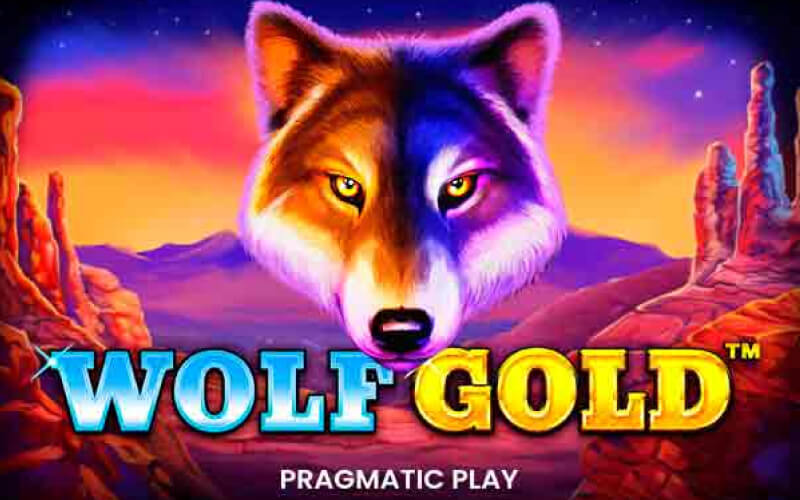 wolf gold